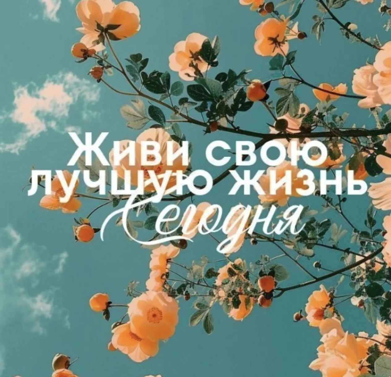 Живи свою лучшую жизнь сегодня